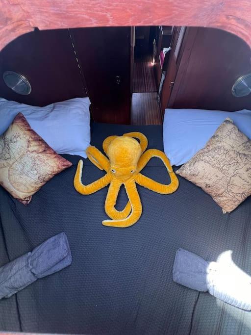 סן מיגל דה אבונה The Captains Locker - 30Ft Yacht מראה חיצוני תמונה